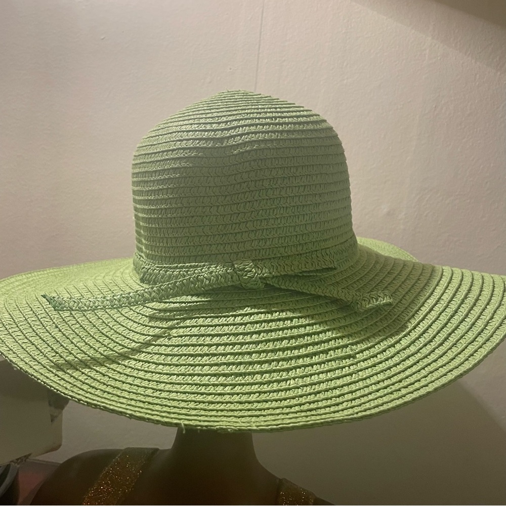 Cappelli StraWorld Green straw hat